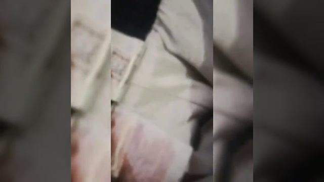 Различаем оригинальные штаны адидас