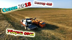 Не пошла уборка на прямую. Вектор 410 убирает раздельным способом. Камаз 65115 (60д 2018)