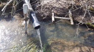 ДЕРЕВНЯ ГОНЧАРОВЫ ЗЕВАКИ, КАЛУЖСКАЯ ОБЛАСТЬ, БАРЯТИНСКИЙ РАЙОН.