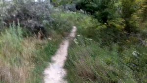 Ира УБЕЖАЛА ИЗ ДОМУ ПРОПАЛА Что случилось?