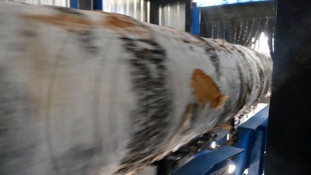Линия сортировки бревен из березы от компании Аркон на фанерном комбинате