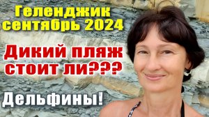 Геленджик сентябрь 2024 Дикий пляж / Дельфины / Открытое море