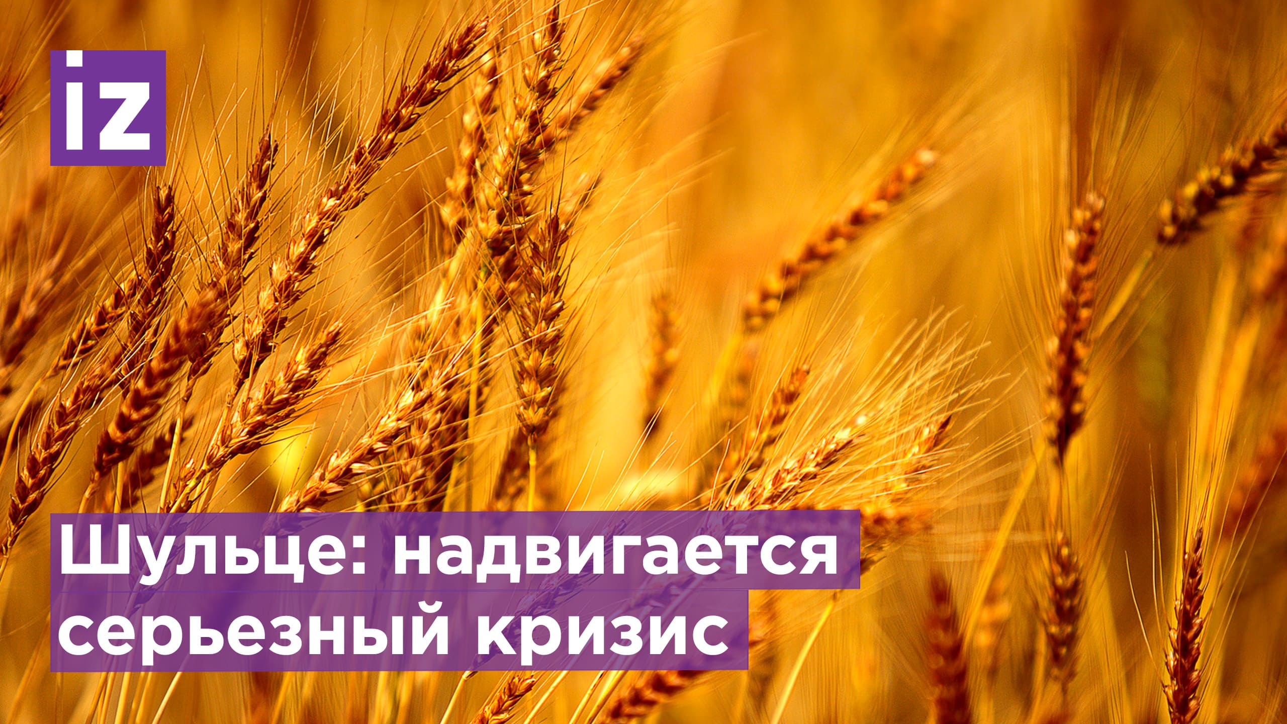 ФРГ призывает создать альянс по глобальной продовольственной безопасности / Известия