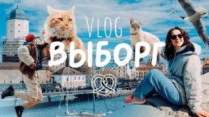 1 ДЕНЬ В ВЫБОРГЕ  VLOG | сладкие котики и посредственные крендельки