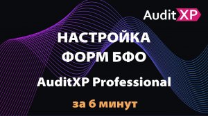 Формы БФО и их настройка в программе AuditXP Professional