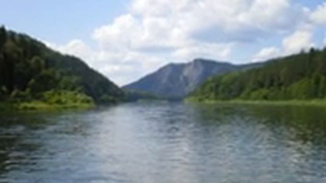 Розы в огороде смотреть онлайн