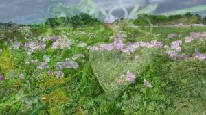 Раскаяние. Я не люблю себя такой. Вероника Тушнова (слушать стихи о любви)