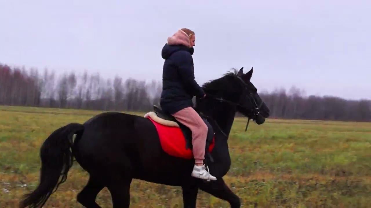 Фотосессия Свадьба Юбилей  г.Ярославль Видеосъемка 89807480213 Фотограф Видеограф Видеосъемка