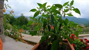 ❤️️ Влог Италия. Мы на празднике у друзей. Итальянская жизнь. Как живут итальянцы.