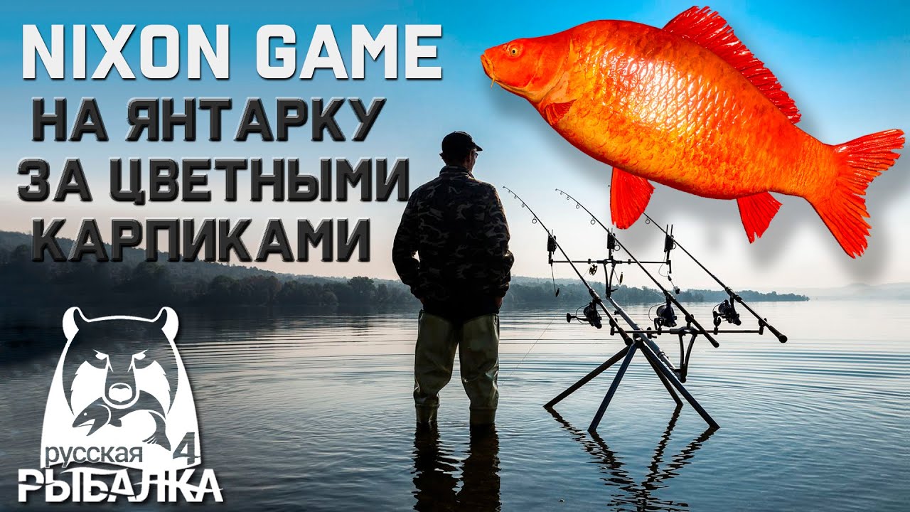 За Цветными Карпами! В игре Русская Рыбалка 4!РР4! Russian Fishing 4!RF4!!!