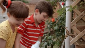Topsy & Tim 2 hour+ Marathon | Season 1 ep 1-15  Full Episodes | Shows for Kids
