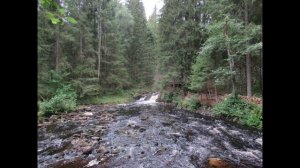 Поездка в Элисенваара, юго-западная часть Карелии.