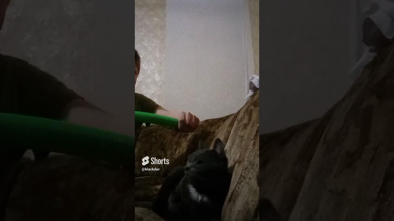 Муся и антистресс смотреть онлайн