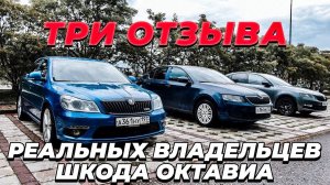 ЗА ЧТО ШКОДУ ОКТАВИЮ ВЫБИРАЕТ МОЛОДЕЖЬ? ОТЗЫВЫ ТРЕХ ВЛАДЕЛЬЦЕВ.