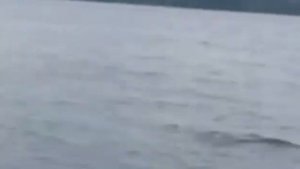 Ветерок 9.9 по волге