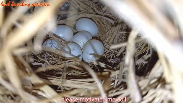 I visited Mansurdar's Java setup once more //First time I saw such good progress ।। смотреть онлайн