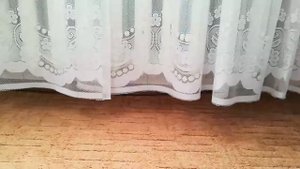 Обзор амуниции моей собаки