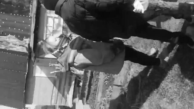 КАК ВЫЖИТЬ НА ДАЧЕ. Из города на дачу. #папанадаче