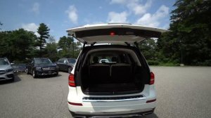 2018 Mercedes-Benz GLS 450 | Video tour with Tony F.