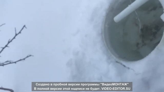 Ловля зимой на удочку муксуна