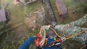 Арбористика | Береза 28 метров