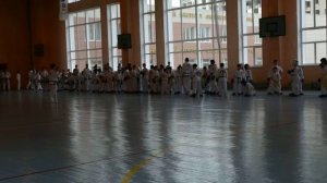 Семинар по Taekwondo ITF (18-19 апреля 2015 г., часть 3)