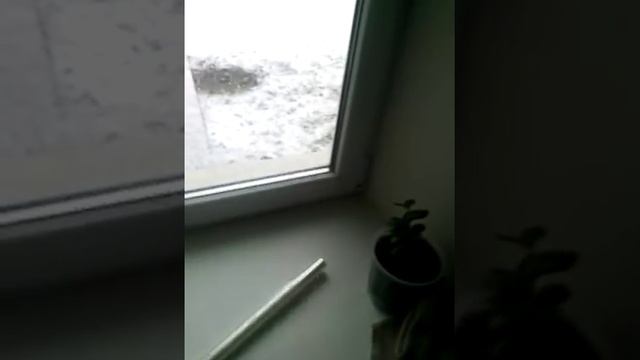 Чтобы пластиковые окна не потели