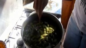 Варенье из сосновых шишек