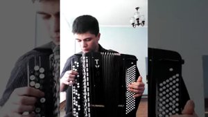 Бригада на баяне