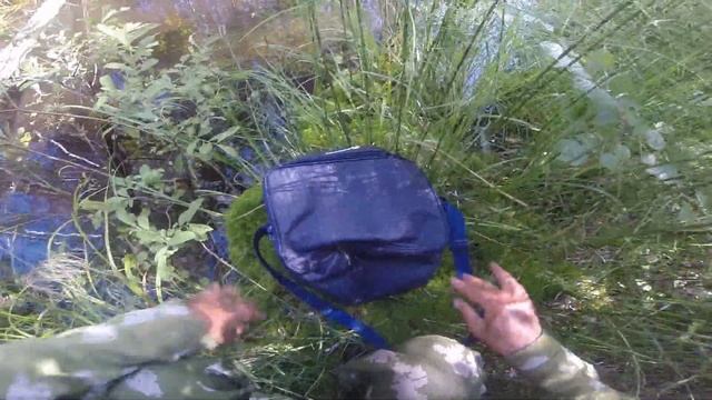 Разведение рыбы, видео восстановление ихтиологического баланса rybachil.ru смотреть онлайн