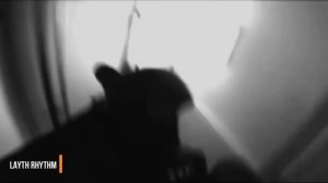 Гио пика - черний Цветок