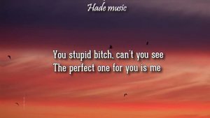 Girl In Red - You Stupid Bitch (Lyrics)