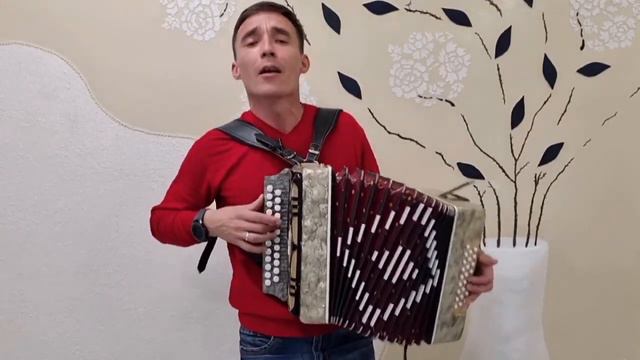 Красиво играет и поёт паренёк с гармошкой смотреть онлайн