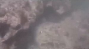 Монстры снятые на камеру, Страшные видео