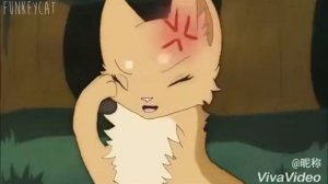 Коты воители Огнезвёзд и Песчаная буря "круче всех"