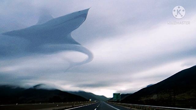 Aircraft Shark ( Акула Самолёт). Trevor Henderson Universal. смотреть онлайн