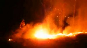 Тушение пожара на горе Тугая (Республика Алтай, Горно-Алтайск)