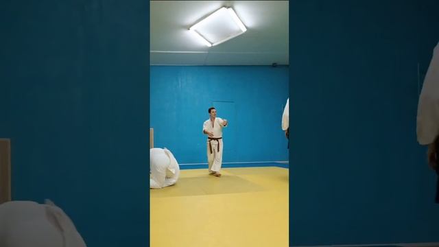 Тренируем лёгкость и свободу движения #aikido #martialarts #relaxing #айкидо