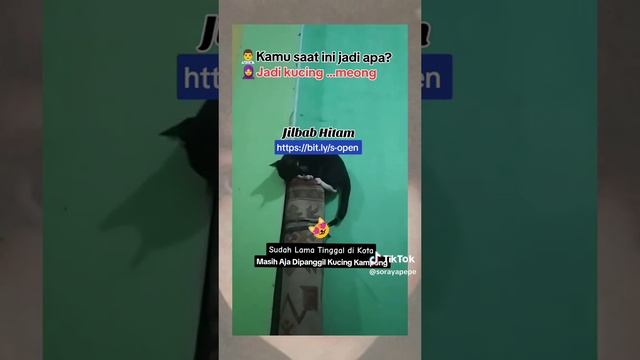 Meong Cewek Jilbab Hitam Open BO Meme Sudah Lama Tinggal Dikota Masih Aja Dipanggil Kucing Kampung