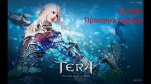 TERA Online Полный гайд крафт, заточка, гильдия и т д MMORPG1