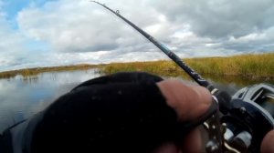 Мормышка осенью с лодки