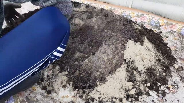 Готовим грунт почвосмесь для пикировки рассады томатов своими руками. смотреть онлайн