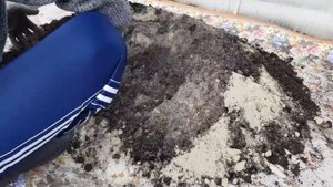 Готовим грунт почвосмесь для пикировки рассады томатов своими руками.