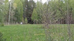 Назад в СССР. Прогулка по бывшей базе отдыха Юг