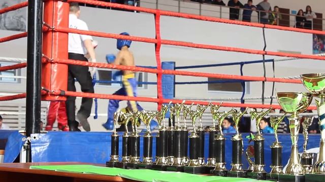 Директор общественного объединения СПК "Султан" кикбоксинг Дамир Калкаев. Костанай март 2017г. смотреть онлайн