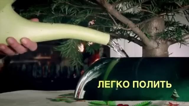 Новинка: подставка для живых елок Easyfix Eli-eli.ru смотреть онлайн