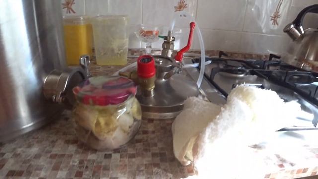 ДЕЛАЮ КОНСЕРВЫ СУДАК И БЕРШ! смотреть онлайн