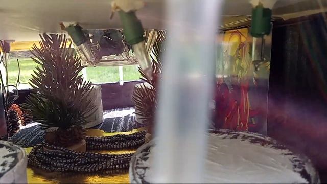 "Laurentia" of Layland-Royal River Cruises, Built 2022 смотреть онлайн