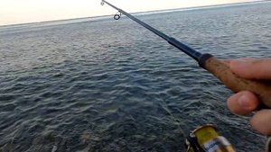 Морская рыбалка в Анапе 2023 / Не ожидали поймать столько Зеленух