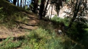 Каменные ворота и Каменский каньон 2020